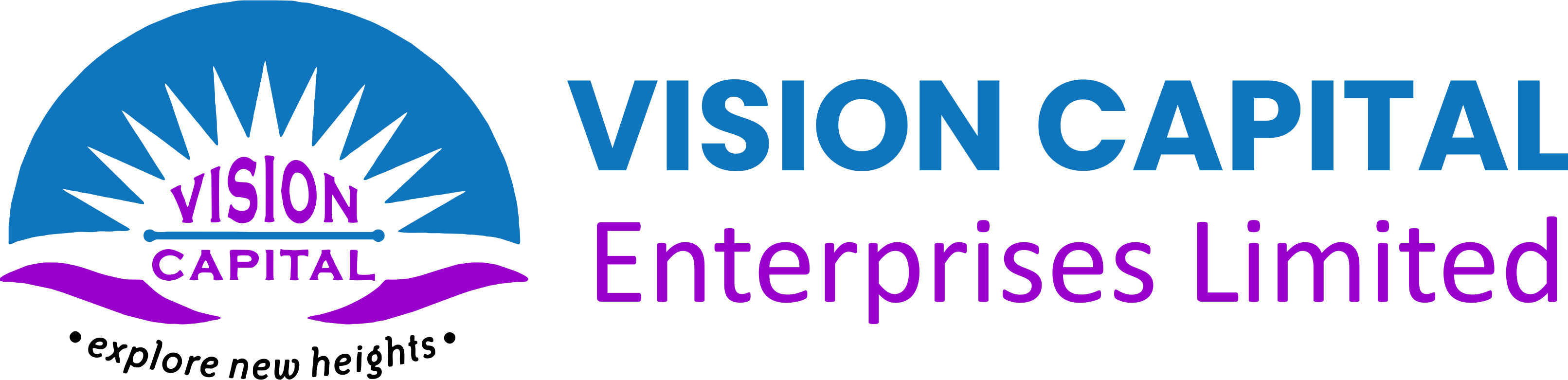 Vision Capital Enterprises Limited
